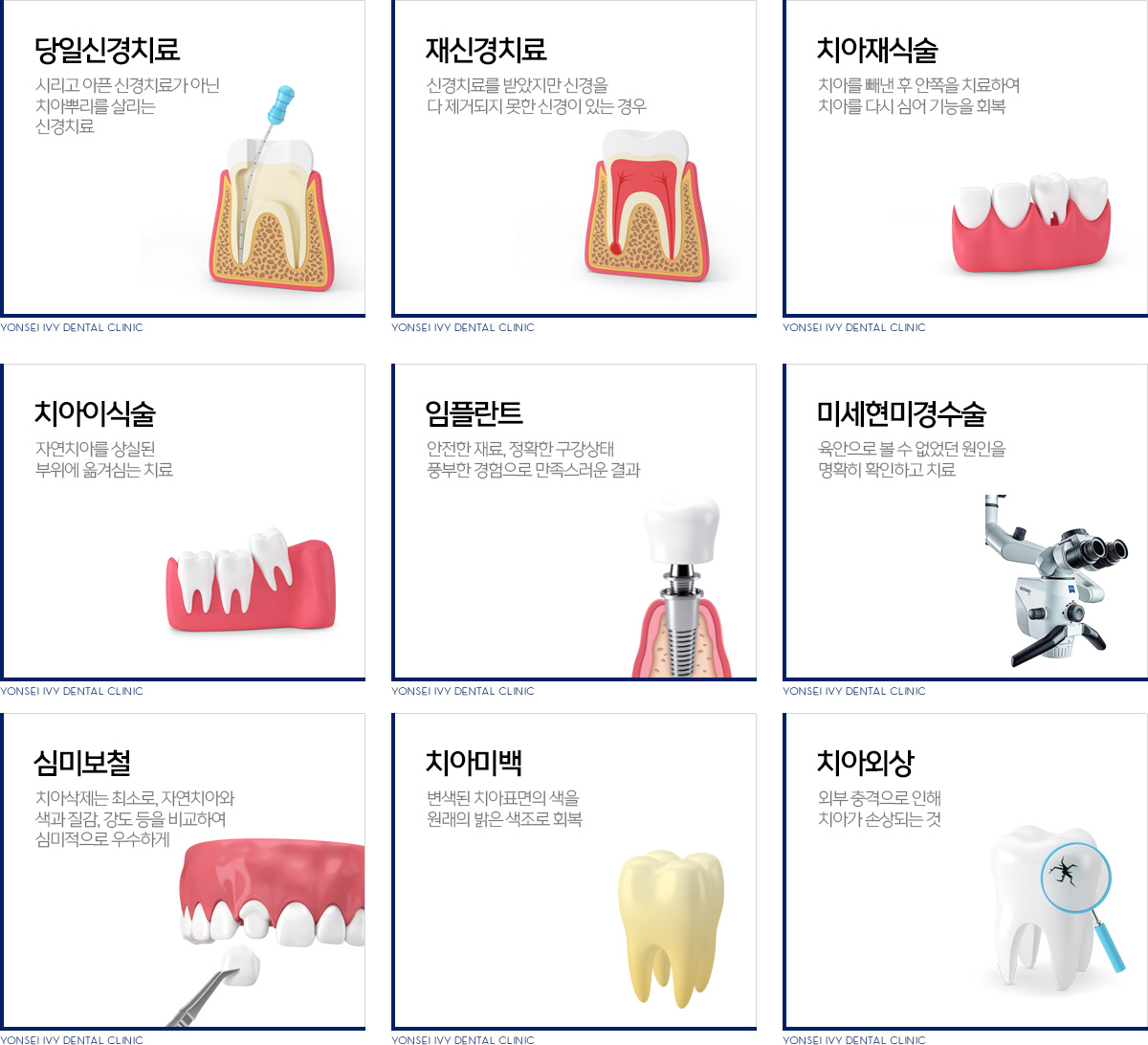 진료과목